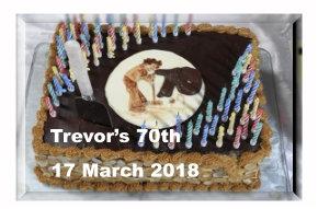 Trevor's Birthday Party